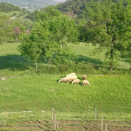 Country #2 20min From Trikala Genesi