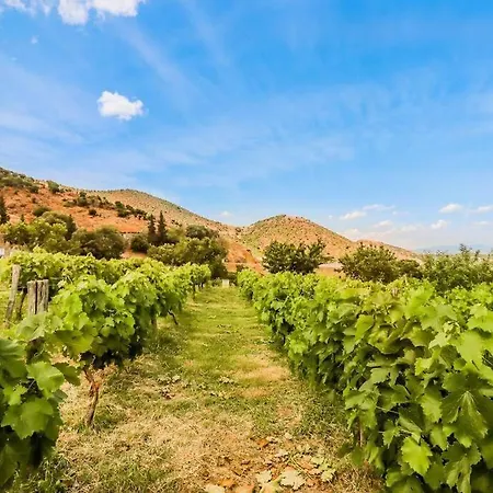 Country #2 20min From Trikala شقة