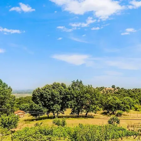 Country #2 20min From Trikala * Genesi