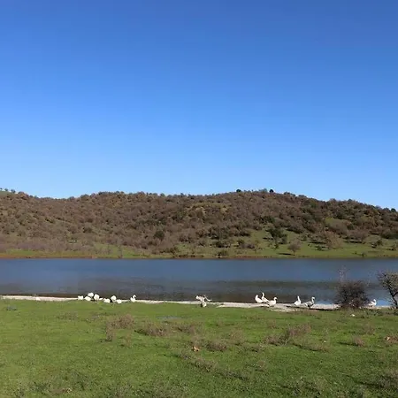 Country #2 20min From Trikala * Genesi